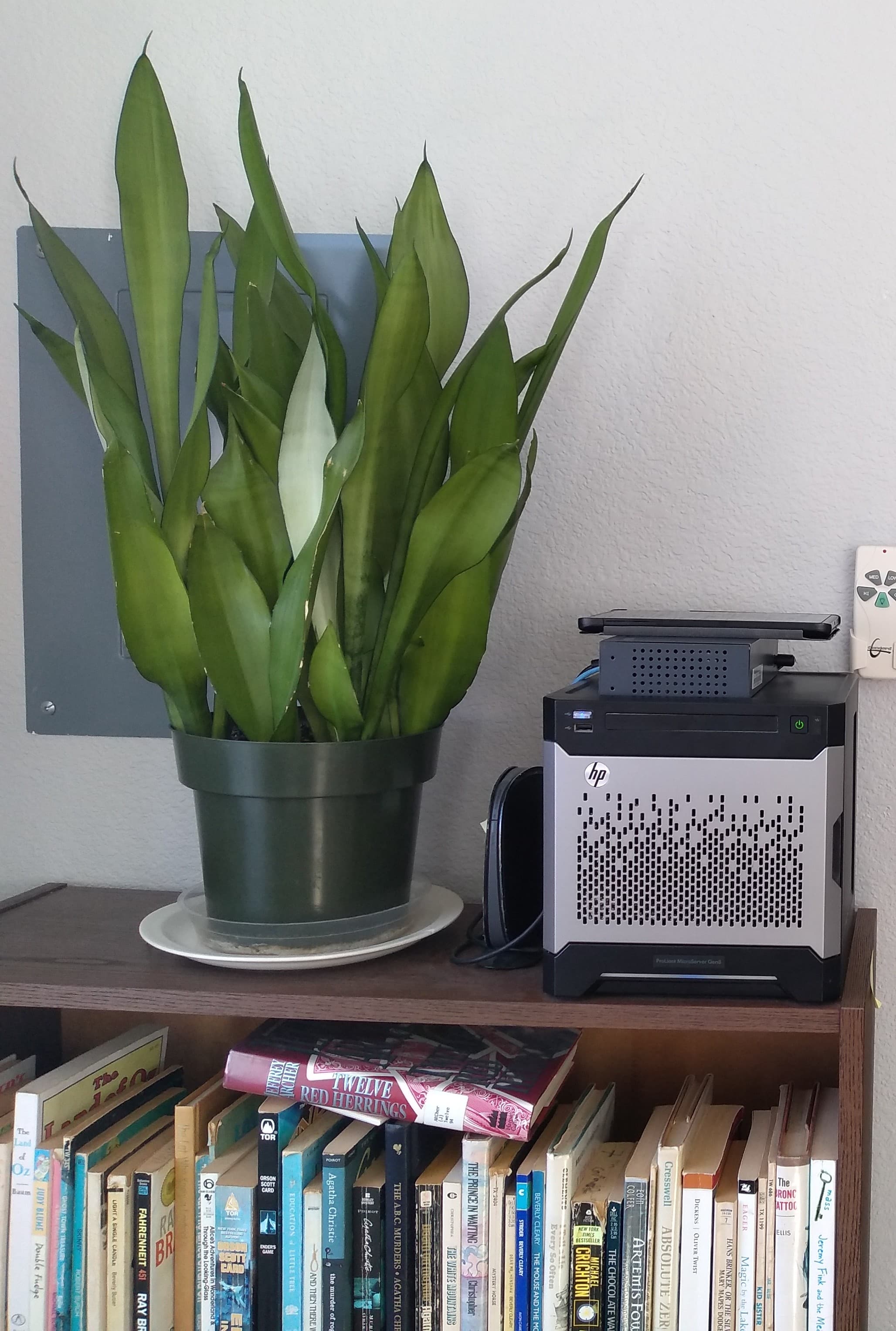 A silver cube (about 9 inches/22 centimeters on each side), with some cables attached, sits on top of a bookshelf of fiction, from "The Land of Oz - Baum" to "The Bronc Tattoo - Ellis". Next to it is a large plant with tall, stiff, slightly unkempt leaves in various shades of green.